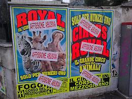 Foggiani, «Non andate a quel circo: gli animali ci soffrono!»