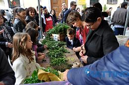 La FOTOfavola di una mattinata nella città dei bambini