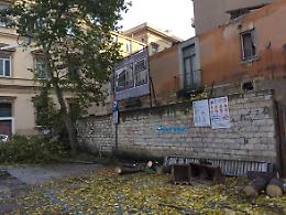 Così, "Aumm Aumm", gli uffici comunali di Foggia fanno abbattere gli alberi
