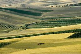 Storia e Archeologia globale dei paesaggi rurali, a Foggia l'on. Burletti Buitoni