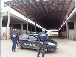 Mattinata, reati ambientali: sequestrata un'area di 500 metri quadri, un denunciato