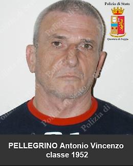La Corte d'Appello di Bari apre le porte del carcere alla mafia foggiana