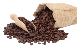 Il Caffè, buono anche per il fegato