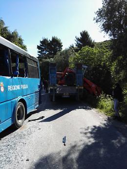 Frontale camion-autobus sulla litoranea Mattinata-Vieste: l'autista ha evitato una strage