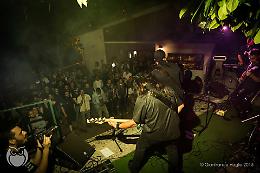 Se sei indipendente, sei una Potenza: ecco il Woody Groove Festival