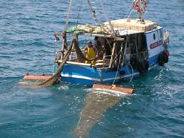 Pesca, Gatta (FI): “ Unanime approvazione mozione per indennizzi da 'fermo biologico', ora giunta dia seguito ”