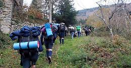 Ecco a voi i selvaggi Scout