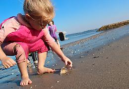 Quando l'Europa si scopre in spiaggia, intorno ad una medusa
