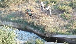 Golfo di Manfredonia malato, causa l’inquinamento del Candelaro