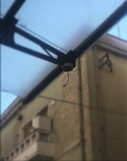 Niente più Grande Fratello in Piazza Mercato:  rubate le telecamere della videosorveglianza