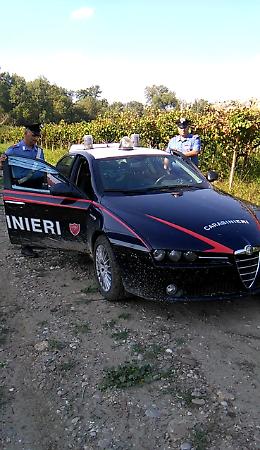 In casa con 2 chilogrammi di marijuana, arrestato pregiudicato a Cerignola