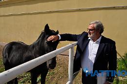 Michele Emiliano "stallone" a Foggia chiede di tornare a trotto sulla difesa dell'IRIP