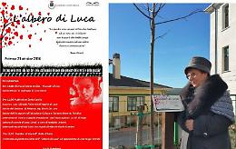 Potenza: si pianterà l'albero di Luca 