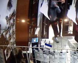 Rapina a una tabaccheria di San Severo, tra i delinquenti anche un 16enne