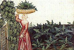 La rucola, l’afrodisiaco degli afrodisiaci