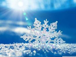 Calore nella neve