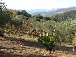 La storia di Andrea ed Elena e della loro creatura : l'azienda Agricola Mantenera di Tricarico 
