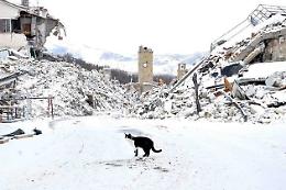Il terremoto, tra pancia e testa