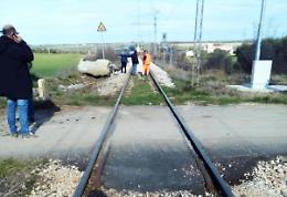 Incidente San Severo-Peschici: trattore attraversa i binari mentre sopraggiunge il treno di FerGargano