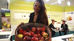 Macfrut si avvicina: la più grande fiera internazionale della frutta ha come partner la Basilicata