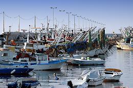 Pesca, Gatta (FI): “ Marinerie Pugliesi in difficoltà, la Regione tarda ad intervenire”