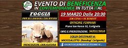 Per i randagi la cena si fa social
