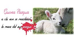 LunaCometa e Liberazione Animale in piazza perché "Nessuno tocchi l'agnello"