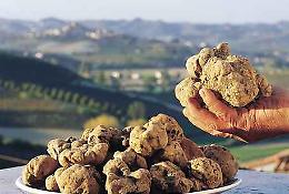 I tartufai del Pollino riuniti in Calabria: il Parco vuole entrare nell'associazione Città del tartufo