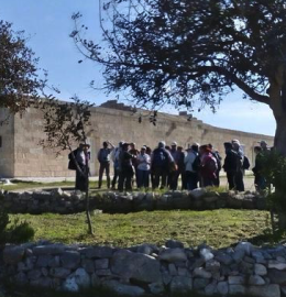 A Matera il pienone di cercatori di orchidee