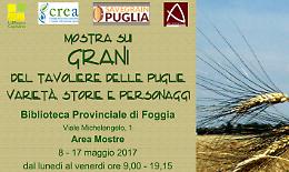 Foggia, come ti racconto varietà, storie e personaggi dei "Grani del Tavoliere delle Puglie"