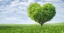 Chiaromonte punta sull'ambiente con la Giornata ecologica