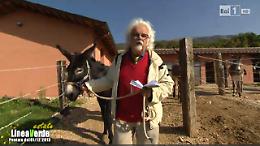 Full immersion di Linea verde nel Pollino lucano
