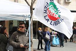 E i giovani di Forza Italia ripuliscono Foggia