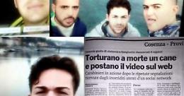"Criminali": è la condanna per i balordi che uccisero il cane Angelo