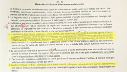 Caccia, la Regione prevede l’abbattimento di cani e gatti