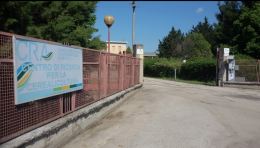 Provocano black out e svaligiano sede del CRA di Borgo Segezia 