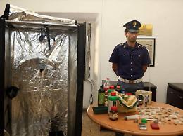 Partono dalla Basilicata per studiare all'università e si trasformano in grossisti della droga