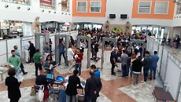 UniFg, la carica dei 680 per un posto a Medicina