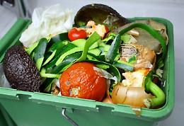 Cibo sprecato, l'impegno dei tecnologi alimentari lucani