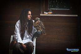 Per tre giorni Melfi sarà la capitale della falconeria