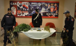 Erba connection nella Città dei Sassi: sequestrati 5mila euro di marijuana