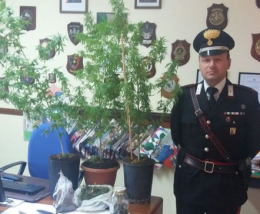 La coppia di pusher vendeva all'ingrosso la droga che arrivava a scuola