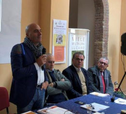 I 20mila alveari lucani avranno il marchio: il miele lucano verso l'Igp