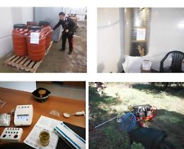 Contraffazione olio d'oliva: controlli nelle aziende di Capitanata 