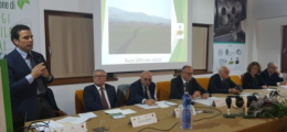 Un hub per il latte lucano: ecco l'idea di Coldiretti e tecnologi alimentari