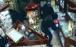Rapinarono gioielleria a Vasto: arrestati 4 ragazzi sanseveresi 