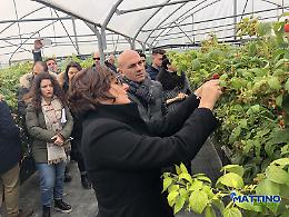 Braia apparecchia l'ortofrutta della Basilicata da gustare a Berlino