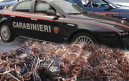 Melfi, causò un blackout per rubare cavi elettrici: arrestato 46enne