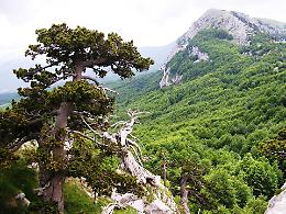 Turismo, la Basilicata investe su quattro attrazioni a contatto con la natura