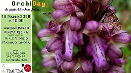 A due passi da Metaponto l'OrchiDay: alla scoperta delle orchidee selvatiche